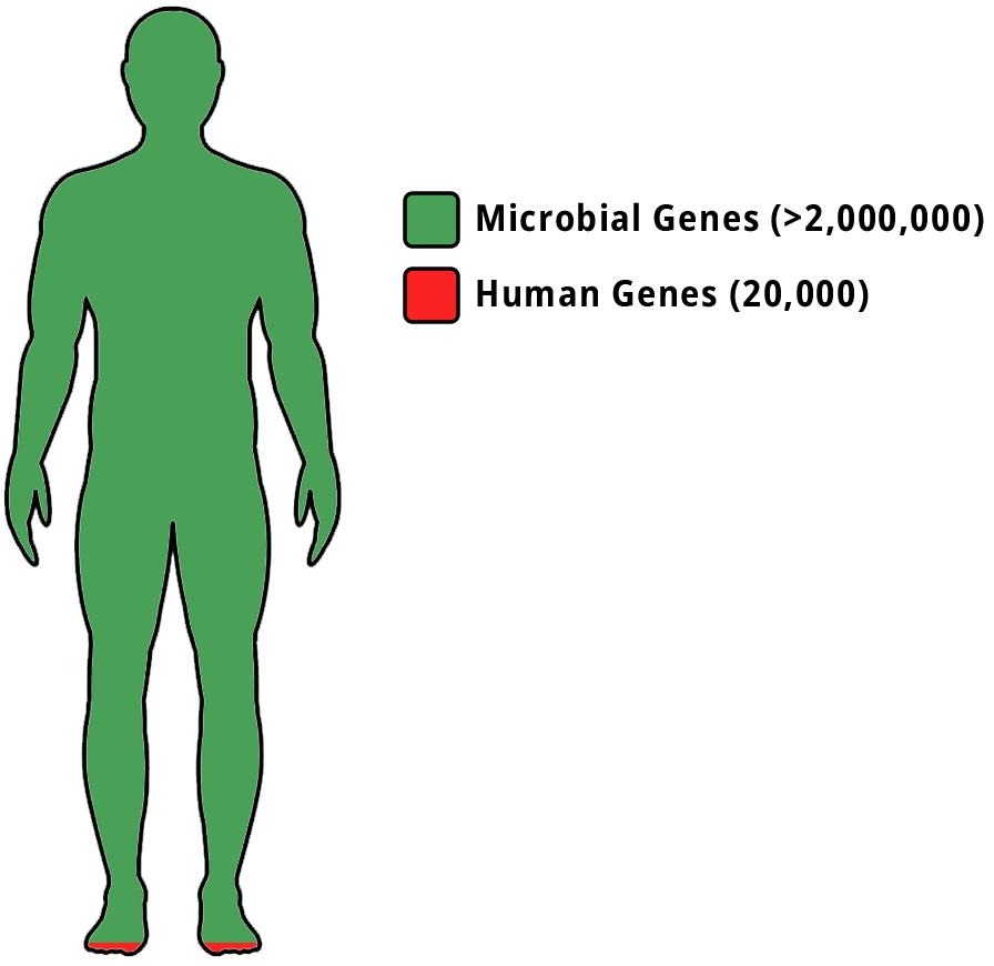 Comparing Human Gene Count to Microbial Count