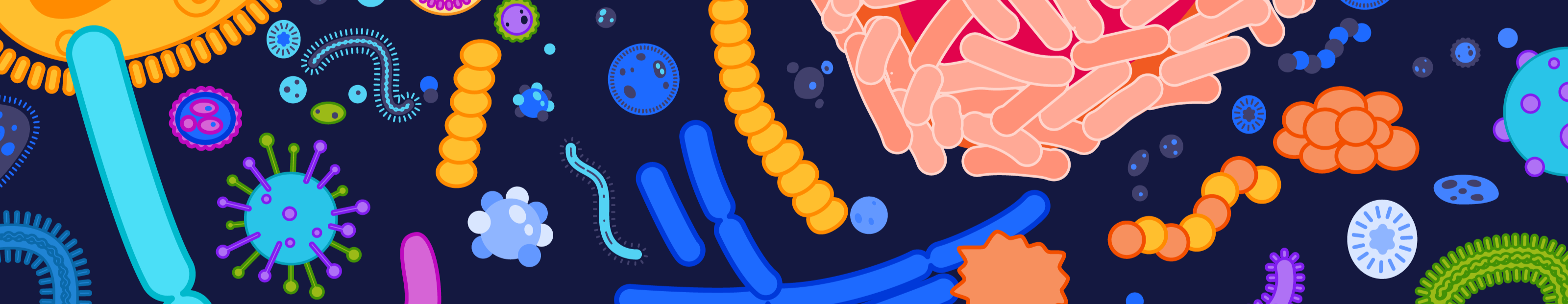 Evaluating Fungal Feature Importance in Predicting Life Expectancy for Cancer Patients